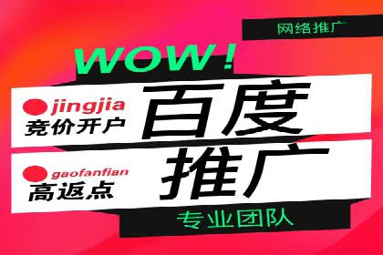 百度SEO推广案例：优化策略与效果对比